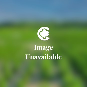 Nursery Plants | Connon Nurseries